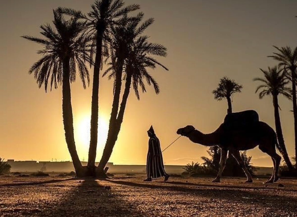 3-Day Sahara Desert Tour from Marrakech to Fes